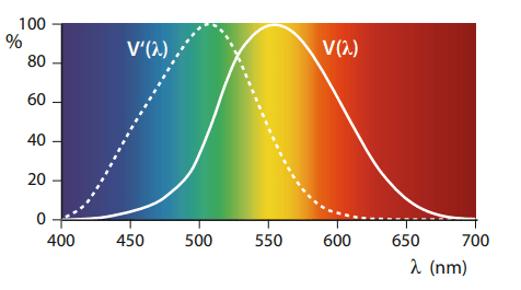 Spectral sensitivity of rod cells (left) and that of cone cells (right)